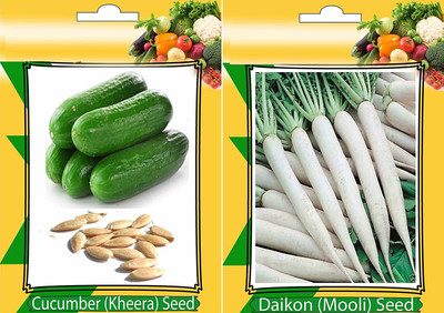WILLVINE Cucumber and Radish Vegetables Seeds-[2000 Seeds] Seed(2000 per packet)