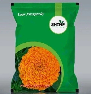 SHINE BRAND SEEDS Marigold Bolt Orange 1000 Per Packet Seed(1000 per packet)
