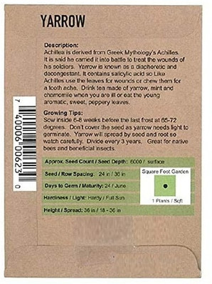 CYBEXIS Yarrow Healing Herb Seeds500 Seeds Seed(500 per packet)