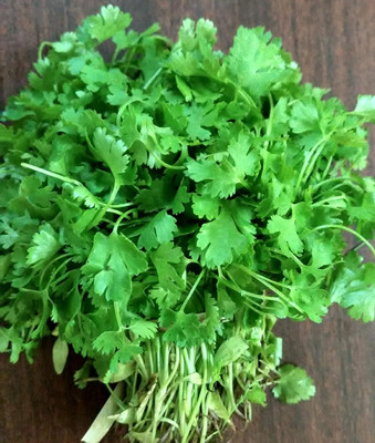LPR Coriander,KHIRA Seed(400 per packet)