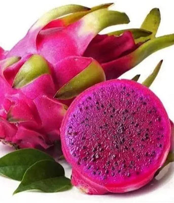 Aywal Dragon fruit Seed(75 per packet)