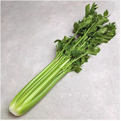 ENTENT CELERY, COMMAND Seed(80 per packet)