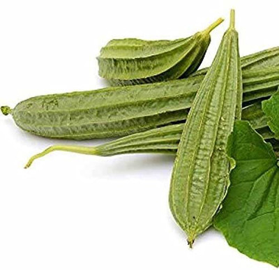 KANAYA Dhari Tori Vegetable Seed(20 per packet)