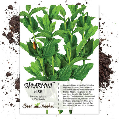 Qualtivate ICRA-9A Spearmint Seeds Seed(200 per packet)