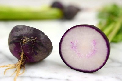 VibeX NBIR-25 - Purple Plum Radish - (750 Seeds) Seed(750 per packet)