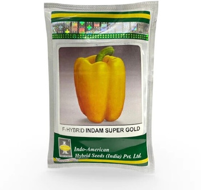 DIVINE CAPSICUM Seed(100 per packet)