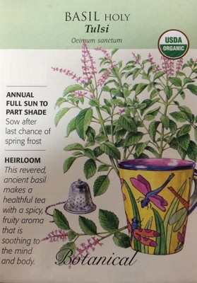WILLVINE Red Holy Basil Seeds - From Chai Tai-[2000 Seeds] Seed(2000 per packet)
