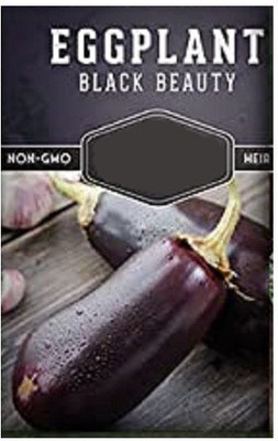 CYBEXIS Brinjal Seed(2400 per packet)