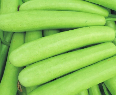 Aywal Long Bottle Gourd Seed(20 per packet)