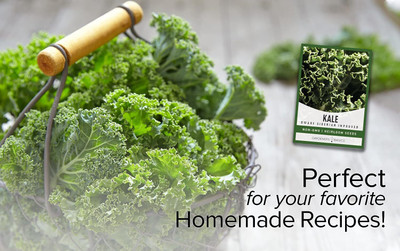 WILLVINE MAH -VIII Dwarf Siberian Improved Kale [1g] Seed(300 per packet)