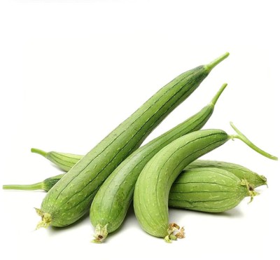 VNR Fresh VNR Ridge Gourd (Torai) Hybrid Vegetable Seed(100 per packet)