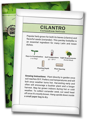 WILLVINE Non-GMO Hybrid Cilantro Seeds Seed(5000 per packet)