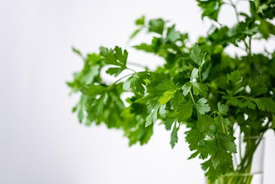 Aywal Dhaniya, Coriander Seed(750 per packet)