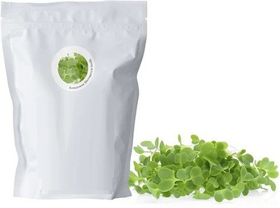 Biosnyg Brassica rapa var. Perviridis [2000 Seeds] Seed(2000 per packet)