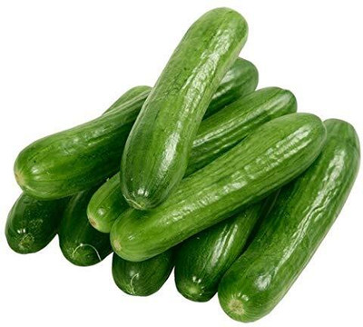 ActrovaX cucumber (khira) [2000 Seeds] Seed(2000 per packet)