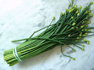 CYBEXIS LXI-5 - Chinese Garlic Chives - (2250 Seeds) Seed(2250 per packet)