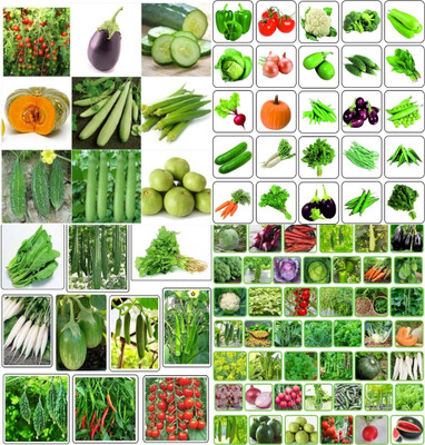 ibains Vegetable seeds combo biij 232 Seed(200 per packet)