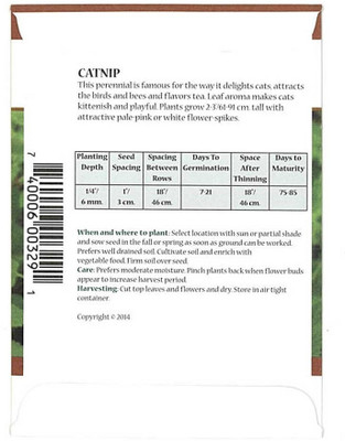 Biosnyg Catnip Herb Seeds-[1000 Seeds] Seed(1000 per packet)