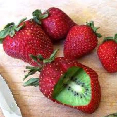 ActrovaX Rare Strawberry Shape Fruit Seed Hardy Climber, New Zealand [100 Seeds] Seed(100 per packet)