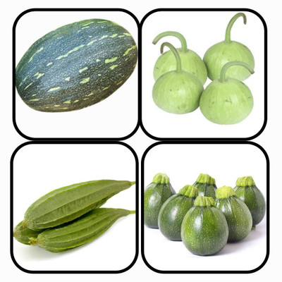 CYBEXIS PUMPKIN OVAL,CHAPPAN KADDU,RIDGE GOURD,SUMMER SQUASH Seed(10 g)