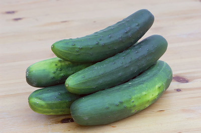 VibeX VVI-89 - Salad Bush Slicing Cucumber - (450 Seeds) Seed(450 per packet)