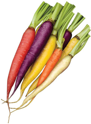 WILLVINE Rainbow Blend Carrot Seeds-[500 Seeds] Seed(500 per packet)
