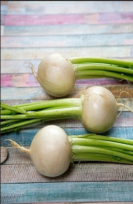 MYLAWN White Ball Turnip/Shalgam Seed(2000 per packet)