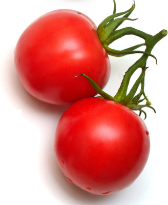 VRAKSHA High Quality Red Tomato Seed(2000 per packet)