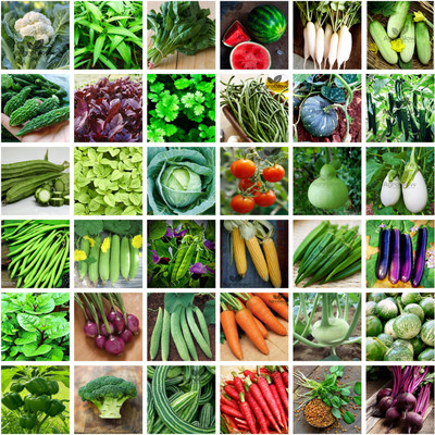 AGROGLOW Mix Vegetable Seeds Bank For Home Garden 36 Varieties Seed(1900 per packet)