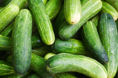 SBGARDEN Cucumber F1 Vegetable Seed(180 per packet)