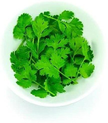 KANAYA dhaniya Seed(20 per packet)