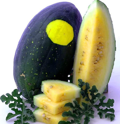 Qualtivate ICRA-8A Organic Moon & Stars Watermelon Seed Seed(100 per packet)