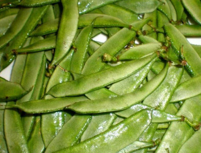 Pbevergreen Lima beans (Phaseolus lunatus) Sem Phali Seed(105 per packet)