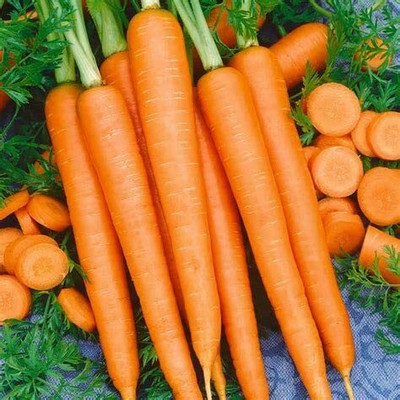 CYBEXIS Carrot Vegetable Seeds4000 Seeds Seed(4000 per packet)