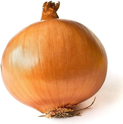 Biosnyg Yellow Patterson Onion Seeds-2500 Seeds/10gm Seed(2500 per packet)
