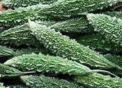 BDSresolve Deshi bitter gourd seeds pack of 16 Seed(16 per packet)