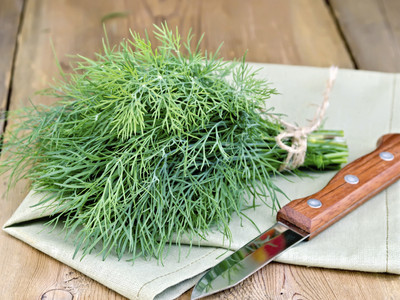 XOLDA Organic soya dill Seed(15 per packet)
