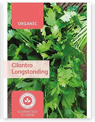 CYBEXIS VXI-19 - Cruiser Cilantro - (250 Seeds) Seed(250 per packet)
