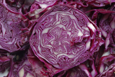 WILLVINE Purple Acre Cabbage Vegetable Seeds-[2000 Seeds] Seed(2000 per packet)