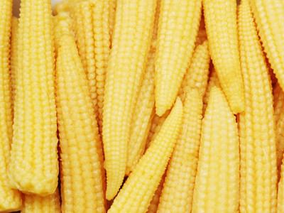 Qualtivate RES-1A Baby Corn Seeds Seed(400 per packet)