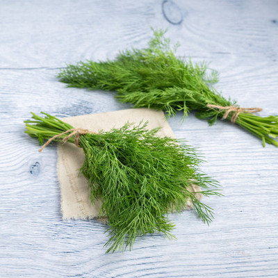 Flipkart SmartBuy Soya Dill Herb Plant Seed(20 per packet)