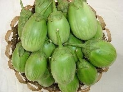 Mozette Organic Brinjal green round Seed(39 per packet)