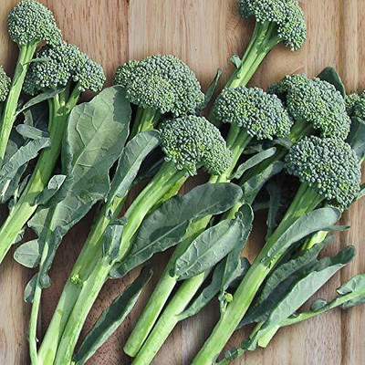 WILLVINE FARM Hybrid Broccoli Seed-[200 Seeds] Seed(200 per packet)