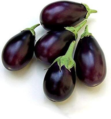 KNESSiN Vegetable Brinjal Cluster Small ( Seeds) Seed(1000 per packet)