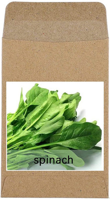 CRGO SPINACH , PALAKH Seed(60 per packet)