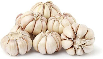 KANAYA Garlic, Purple Seed(5 per packet)