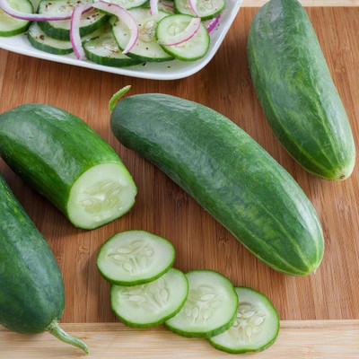 Quentova Cucumber Stonewall F1 Seed-NCS-22J Seed(250 per packet)