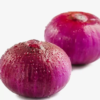 WATIKA Nasik Onion Seed(3000 per packet)