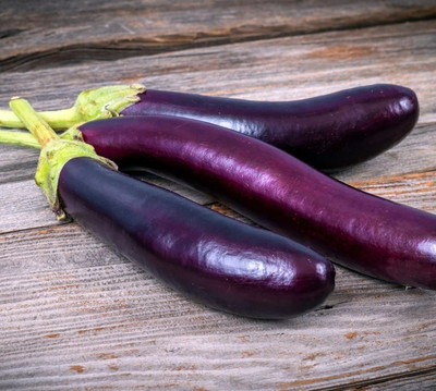 UGRA Brinjal Seed(3000 per packet)