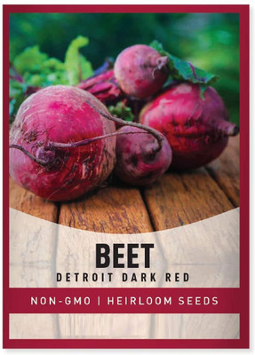 Biosnyg Beetroot Dark Red Detroit Seed(1000 per packet)